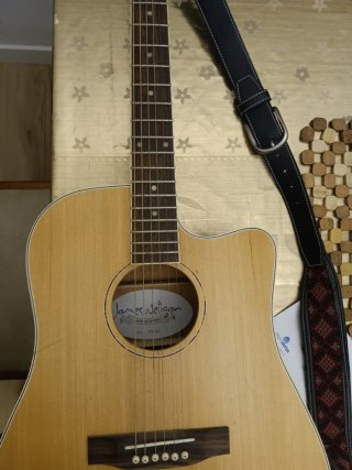 Guitarra Eléctrica con Salida Jack