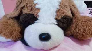 Peluche Perro Grande