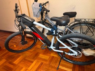 Bicicleta Eléctrica Blanca
