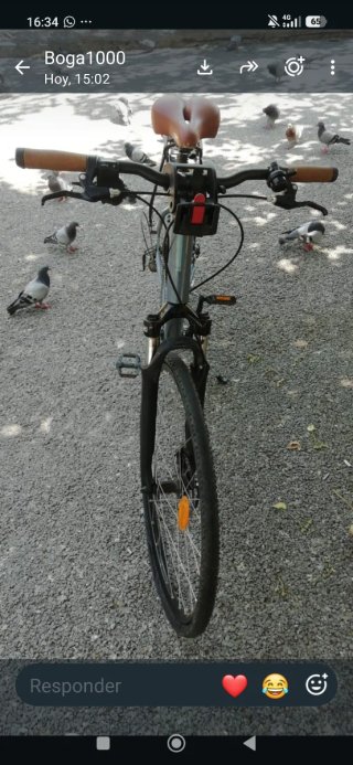 Bicicleta urbana gris