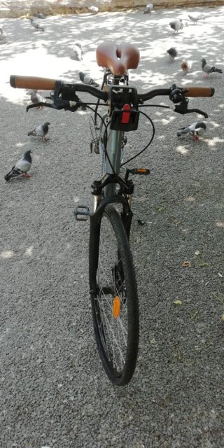 Bicicleta urbana gris