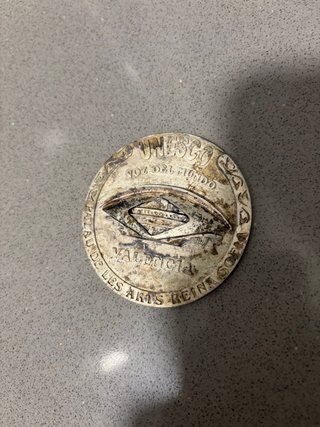 Medalla UNESCO Voz del Mundo Valencia