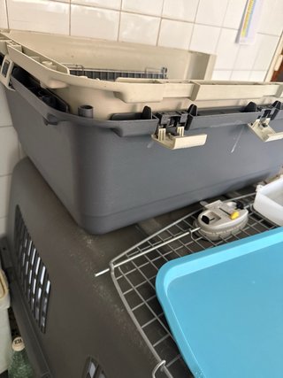 Transportín para perro LIFT IATA grande