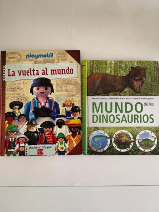 Lote de libros infantiles y juveniles.