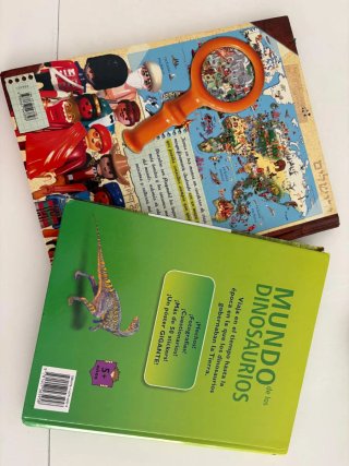 Lote de libros infantiles y juveniles.