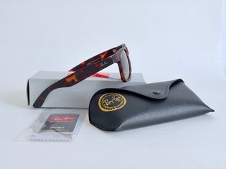 Gafas de sol Ray-Ban Dustin Polarizadas