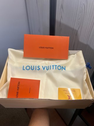 Louis Vuitton LV Skate Zapatillas Grises Blancas