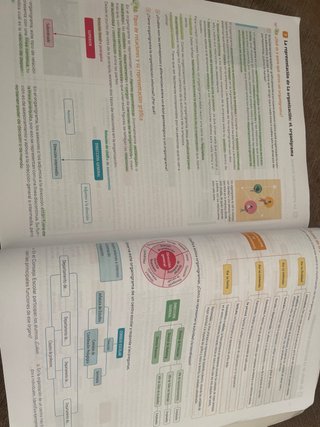 Empresas y diseño modelos de negocio 2 Revuela SM