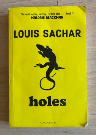 Libro Holes