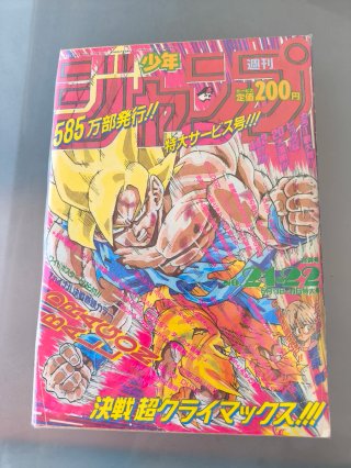 Weekly Shonen Jump 1991 - 21/22