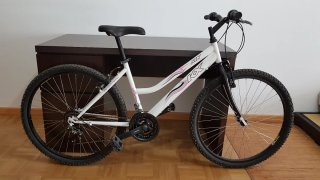 Bicicleta de montaña MX chica