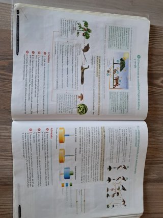 Biología y Geología 1º ESO. Libro del estudiant...