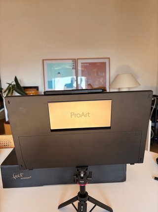 Monitor Portátil ASUS ProArt PA169CDV 15.6