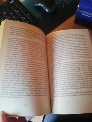 Uomini che odiano le donne. Millennium