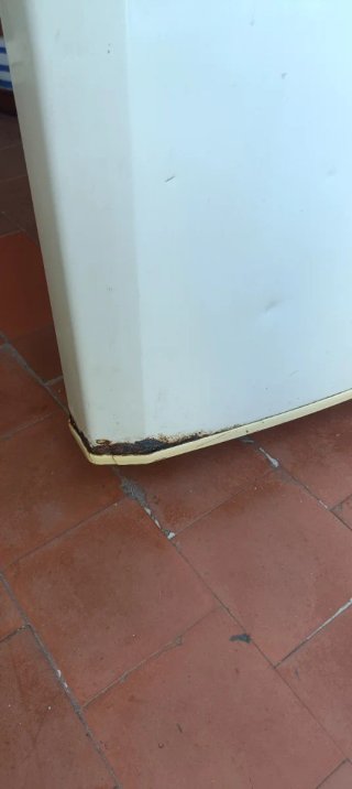 Nevera con Freezer LG Blanca
