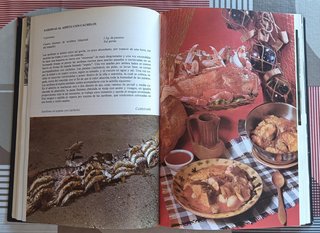 El libro de la cocina española