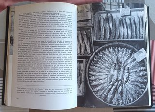 El libro de la cocina española