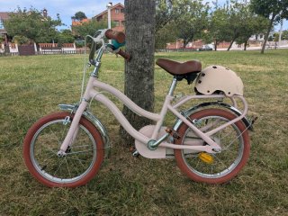Bicicleta niña Toimsa 16 pulgadas rosa