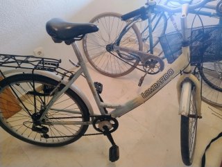 Bicicleta Paseo Lombardo Charbonnel
