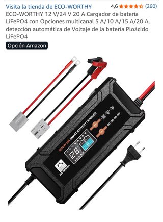 Cargador Batería ECO-WORTHY 12V/24V 20A