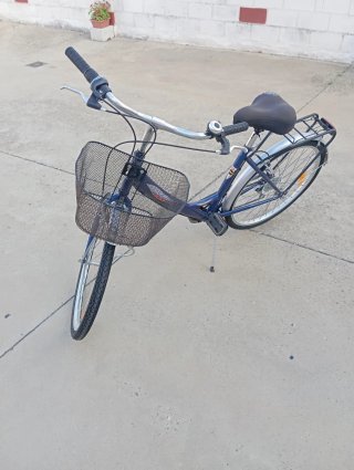 Bici paseo adulto