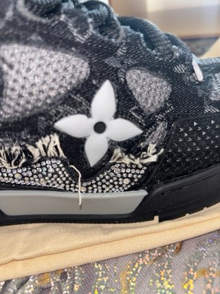 Louis vuitton skate