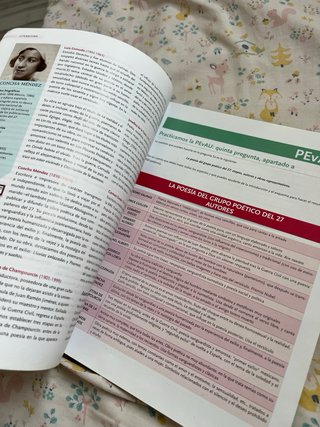 Lengua castellana y literatura, 2 BACH.