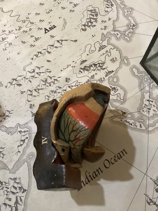 Modelo anatómico antiguo ojo humano papel mache