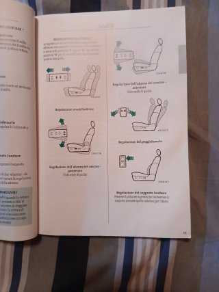 Manuale Istruzioni Rover 800 Series