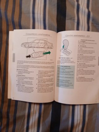 Manuale Istruzioni Rover 800 Series