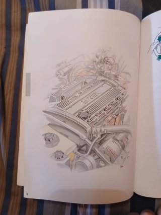 Manuale Istruzioni Rover 800 Series