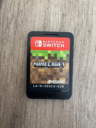 Minecraft Nintendo Switch
