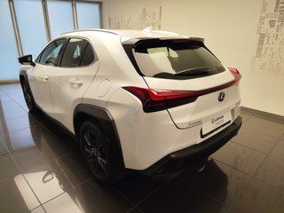 Lexus UX250H BUSINESS CITY 2022 REF 7519