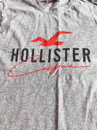 Camiseta Hollister Gris Logo Ave California