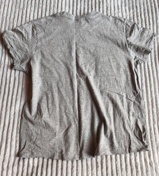 Camiseta Hollister Gris Logo Ave California