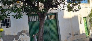 Terreno con cortijo y nave