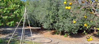 Terreno con cortijo y nave