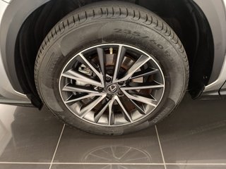 Lexus NX350H BUSINESS CITY 2023 6668