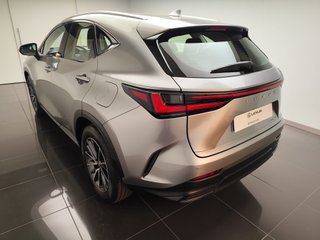 Lexus NX350H BUSINESS CITY 2023 6668