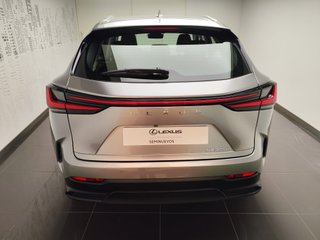 Lexus NX350H BUSINESS CITY 2023 6668
