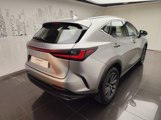Lexus NX350H BUSINESS CITY 2023 6668