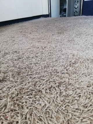 Moqueta / Alfombra grisacea
