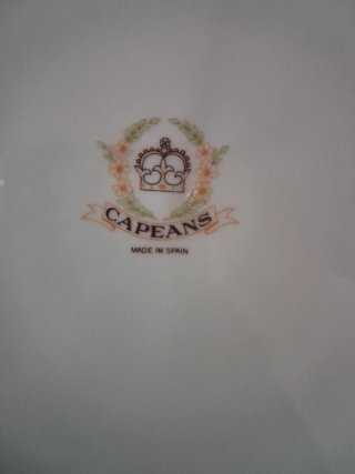 Preciosa Vajilla antigua porcelana marca Capeans 6