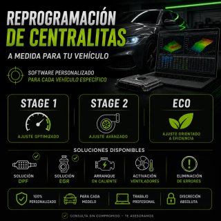 Reprogramación ecu a medida