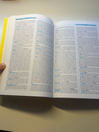 Diccionario Espasa de Primaria