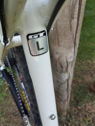 Bicicleta de Montaña GT Avalanche