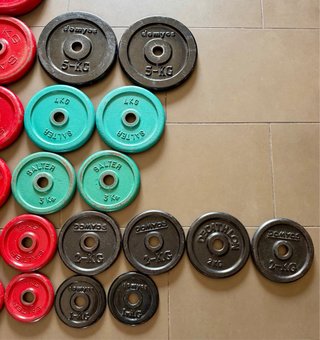 Discos de pesas Salter y Domyos