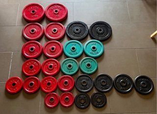 Discos de pesas Salter y Domyos