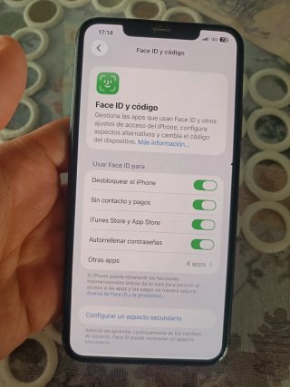iPhone 11 Pro Max gris - negro