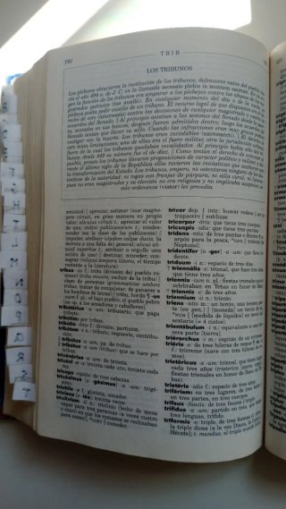 Diccionario ilustrado Latin